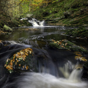 _1118150-Bearbeitet-Bearbeitet