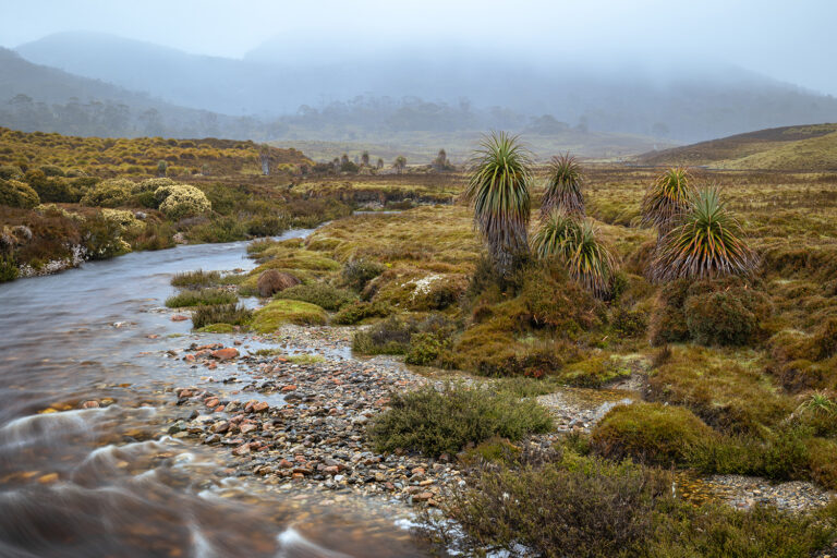 Maerchenhaftes-Hochland-am-Cradle-Mountain_1058636-Kopie